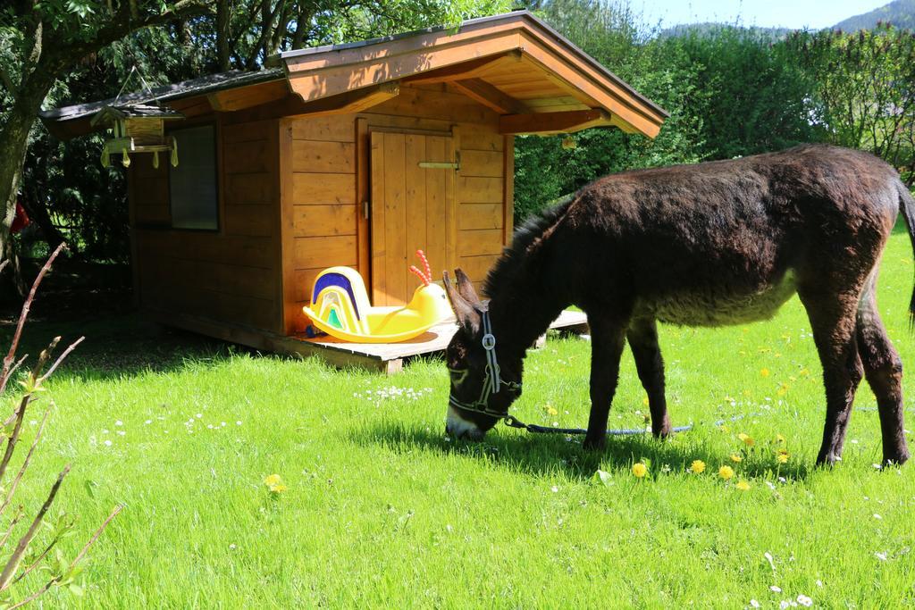 Matzhof Appartement Leogang Buitenkant foto