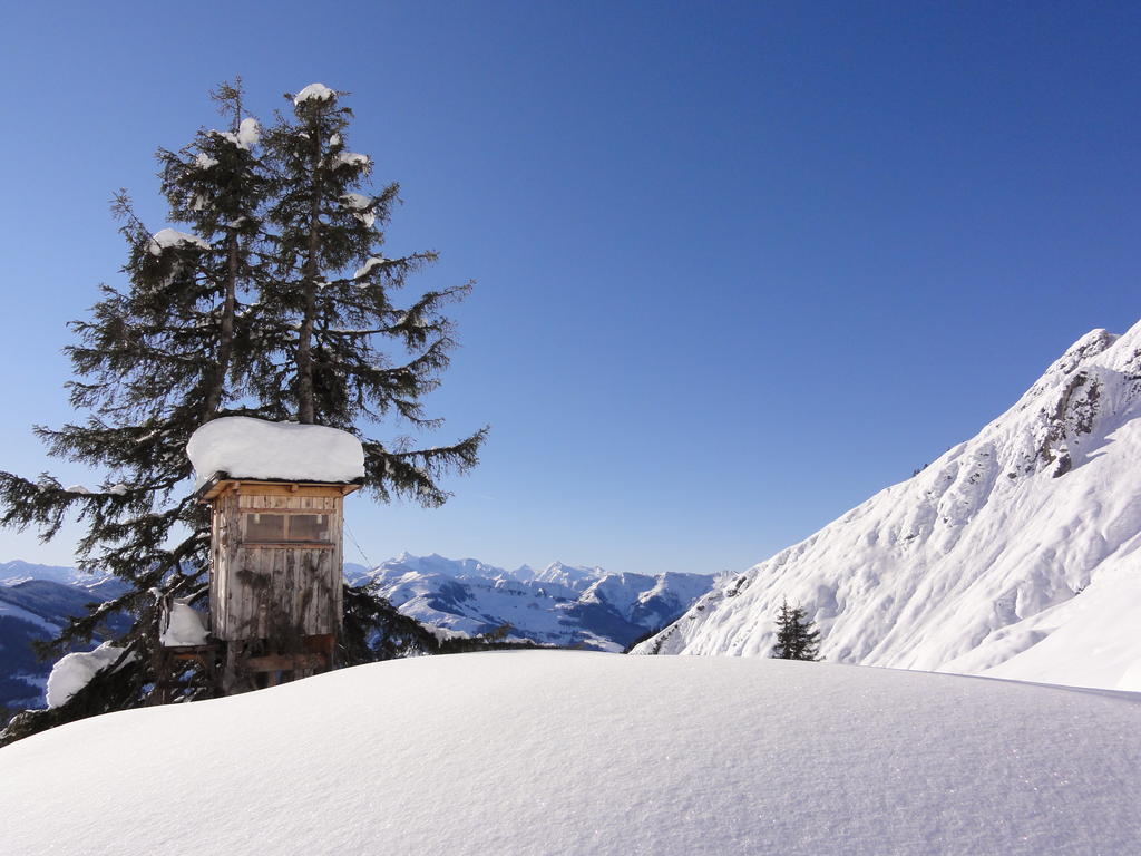 Matzhof Appartement Leogang Buitenkant foto